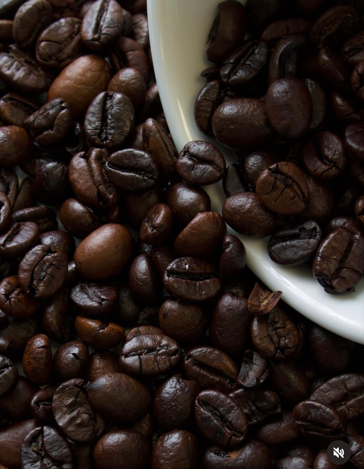 Mellow Roast decaffeinated